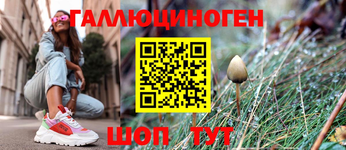 Галлюциногенные грибы мицелий  Галлюциногенные грибы Magic Shrooms  Кашира  Вход с VPN 