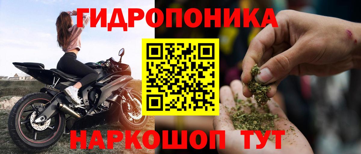 Бошки марихуана Amnesia Кашира